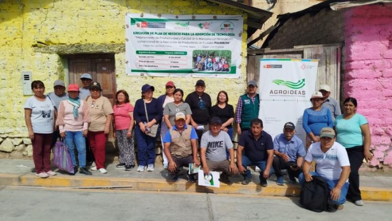 Productores de Yauyos ejecutan plan de negocio en cadena productiva de manzana