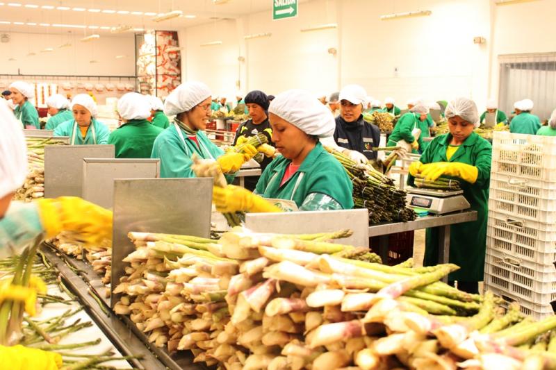 Productos con valor agregado a Estados Unidos crecieron 136.6% desde vigencia de TLC