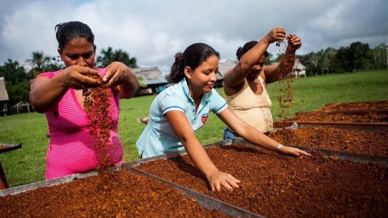 ProInnovate destina S/ 2.5 millones para impulsar la innovación y emprendimientos en la región Cajamarca