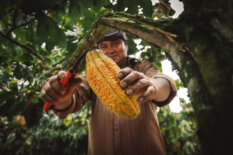 PromPerú otorgó sello de Biocomercio Perú a 14 empresas nacionales de agroindustria y manufacturas