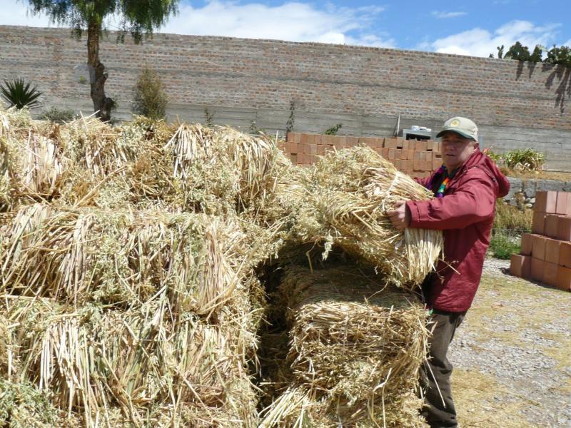 Protegerán a más de 110.000 cabezas de ganado por heladas