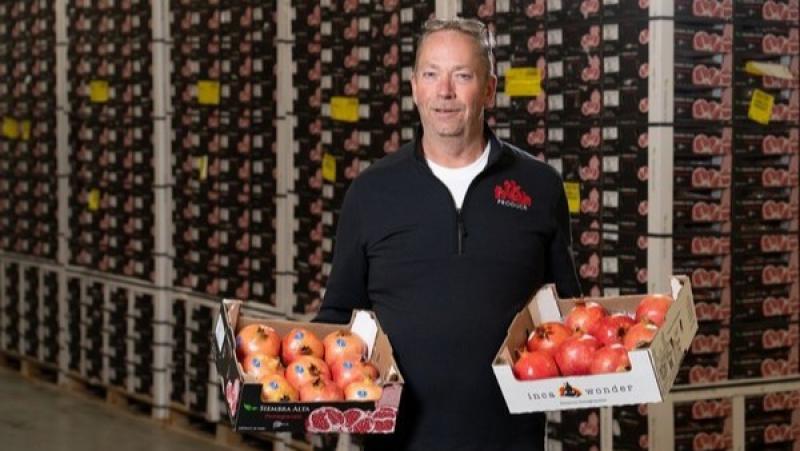 Provincias de cultivo de granadas en Perú están en transición