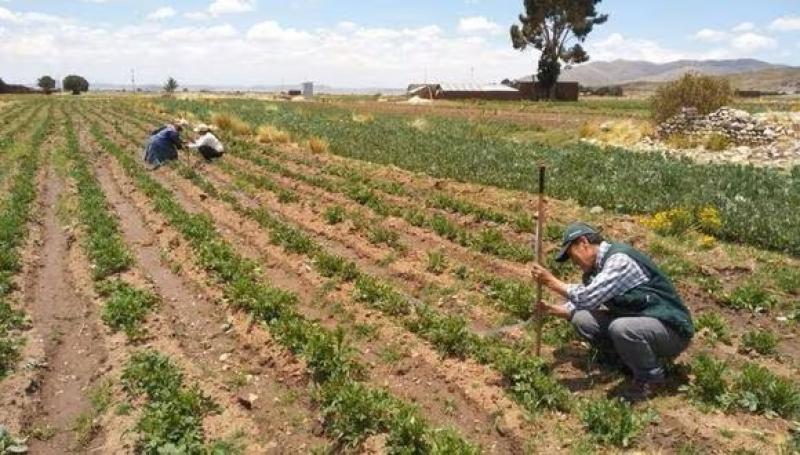 Proyección del PBI peruano para este año mejora a 2.7%, ante un Fenómeno El Niño menos intenso