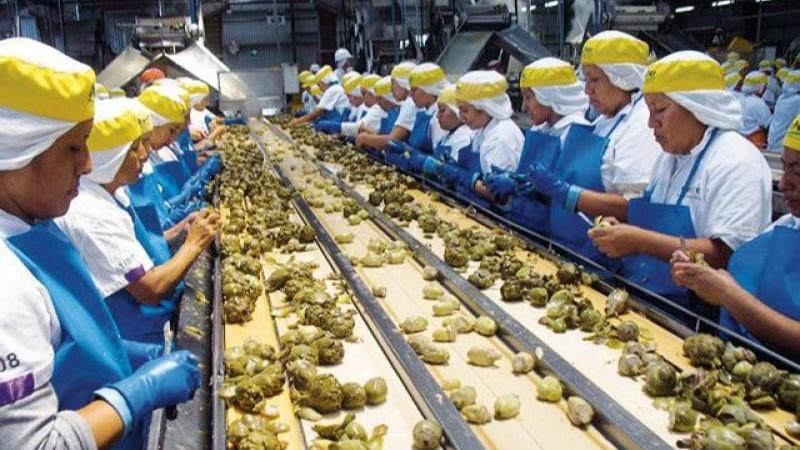 Proyectos de desarrollo con enfoque de mercado: ¿Qué impacto tienen?