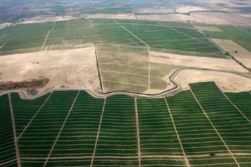 Proyectos de irrigación crearán 580.000 empleos y reducirán pobreza extrema