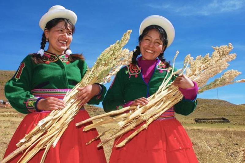 Puno: Coopain Cabana recibe crédito de S/ 1 millón de Agrobanco