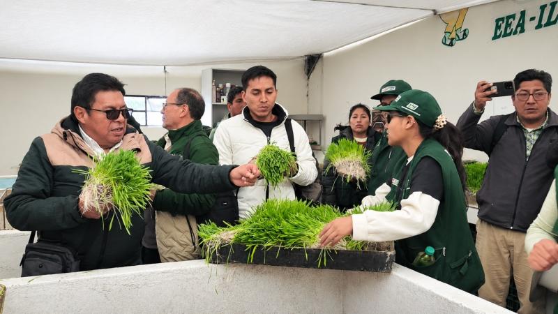 Puno: Tecnologías para mitigar efectos del El Niño en la producción agropecuaria de Puno