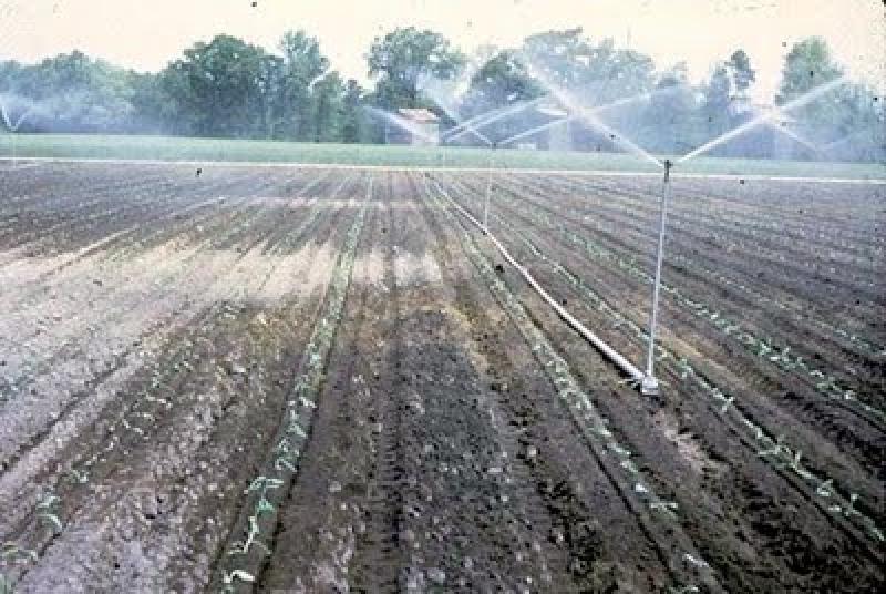 Quevedo quiere sentar bases del riego tecnificado en Sierra y Selva