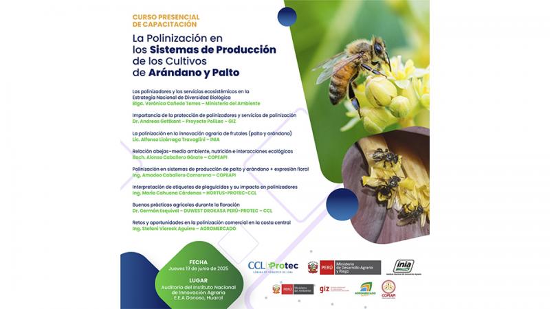 Realizarán curso presencial de capacitación: “La Polinización en los Sistemas de Producción de los Cultivos de Arándano y Palto”