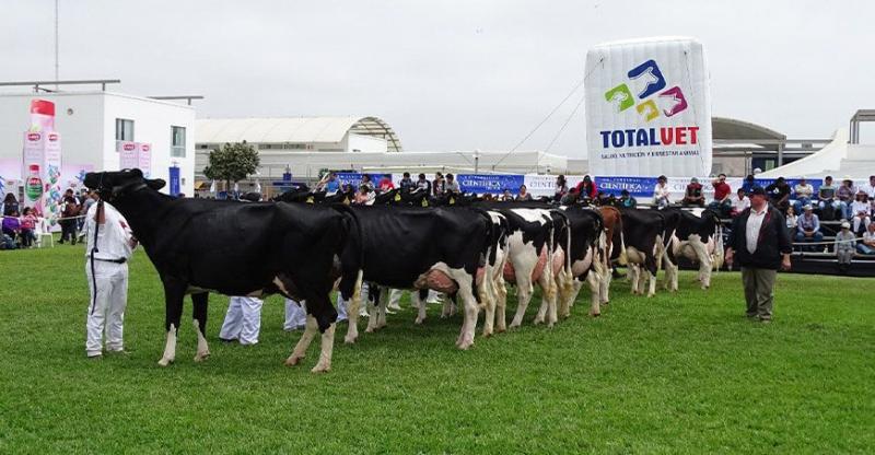 Regresa la Feria Nacional de Ganado Lechero a La Molina