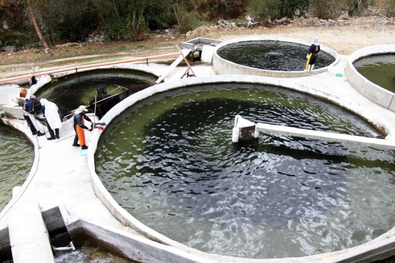 Sanipes realiza fiscalización sanitaria ante derrame de concentrado minero en el río Chillón