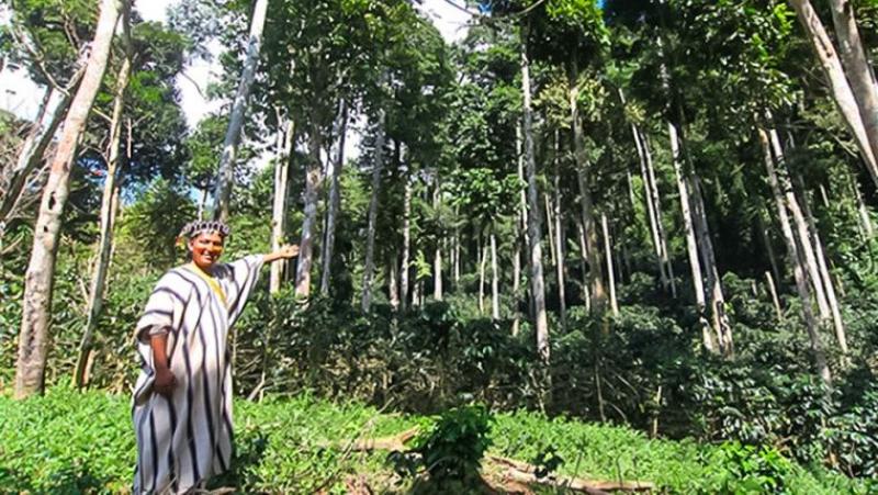 Se busca impulsar el Desarrollo Sostenible e Integral de la Amazonía Peruana