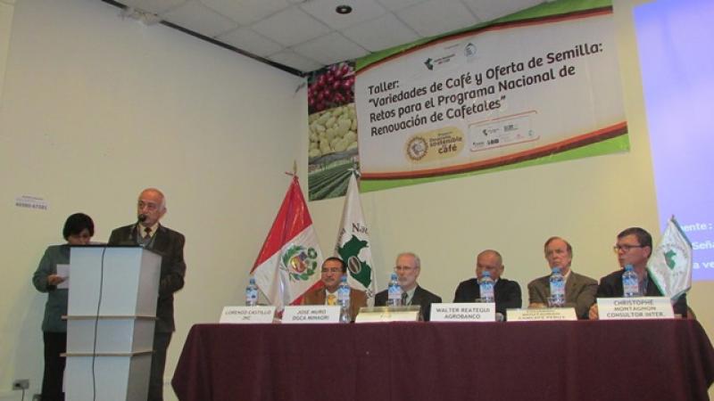 SE DUPLICAN SOLICITUDES DE CRÉDITOS PARA RENOVACIÓN DE CAFETALES