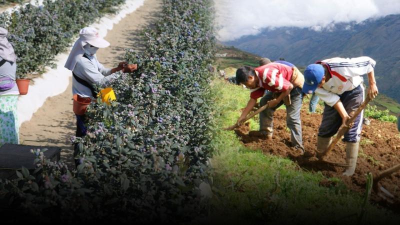 Se promulgó la nueva Ley Agraria