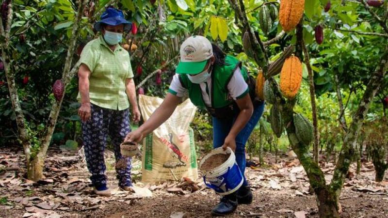 Se viene el I Encuentro del Cacao Orgánico y Chocolate del Vraem