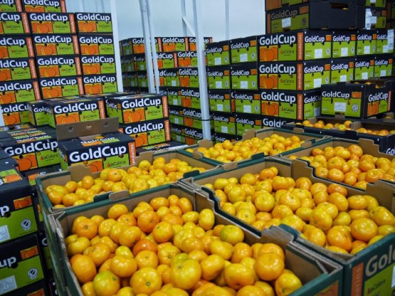 SECTOR AGRÍCOLA SERÍA PRIMER BENEFICIADO EN UN TLC CON TURQUÍA