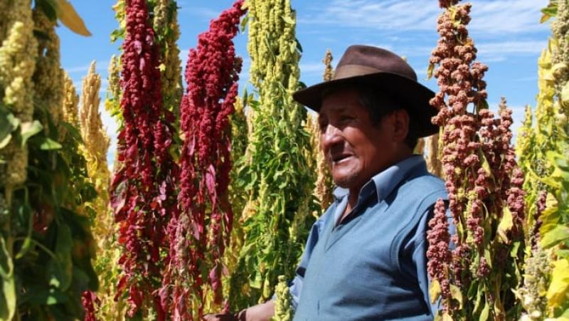 Sector agropecuario lidera crecimiento de 23.69% en abril, impulsando la economía del país