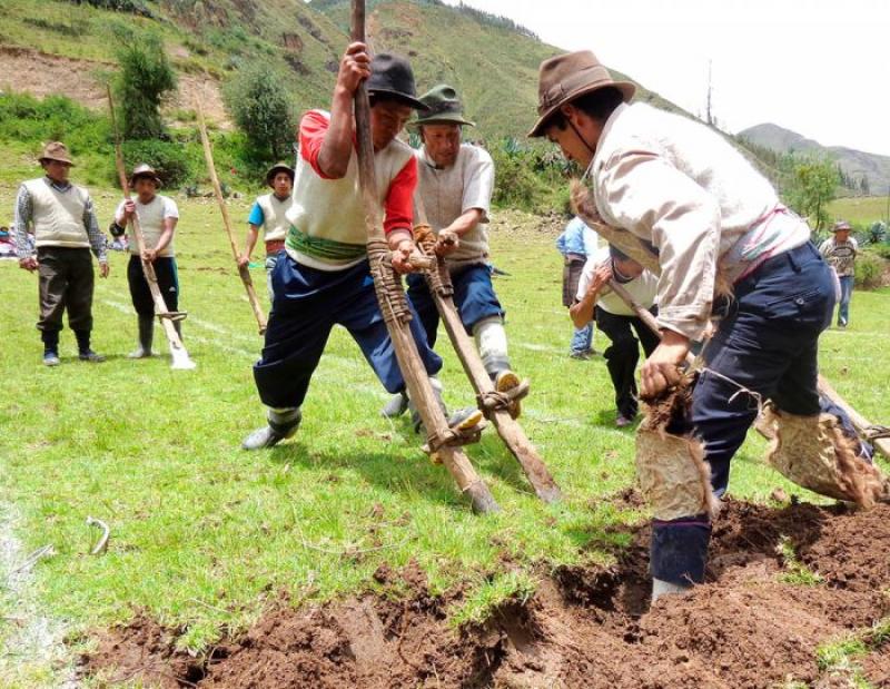 Sector agropecuario y pesca obtuvo el peor desempeño de productividad laboral en 2021