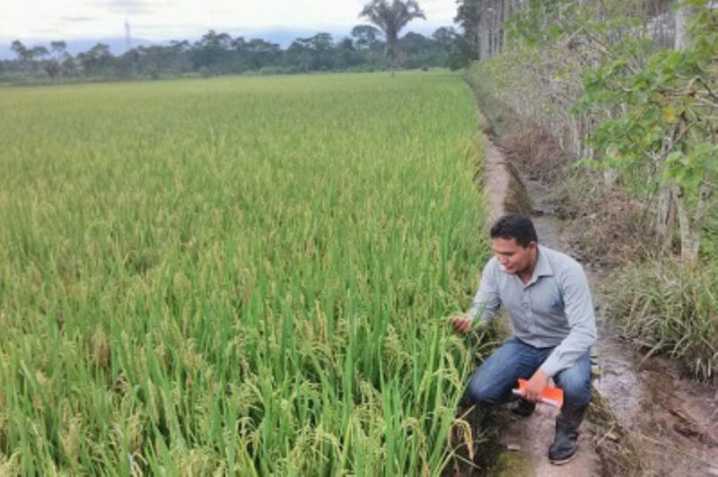 Sector agroquímico en Perú facturará US$ 208 millones, creciendo más de 5% este año