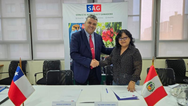 Senasa acelera las gestiones para el acceso de productos agrícolas a Chile