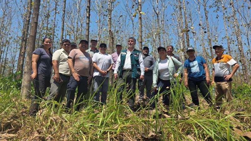 Serfor y Cooperación Alemana fortalecen alianza para impulsar la gestión forestal sostenible en Perú