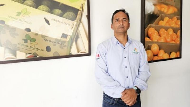 "Si bien W. Murcott es la variedad más sembrada, la que mejores precios al productor registra es Orri"