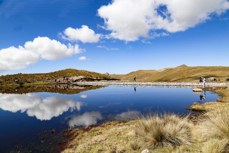Sierra Azul construyó 812 qochas en 14 regiones del país para mitigar efectos del cambio climático