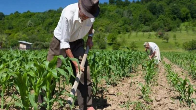 Sierra y Selva Exportadora ahora se llamará Agromercado