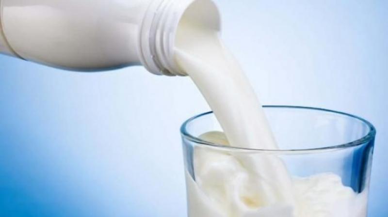 Sunat disminuye de 10% a 4% pago adelantado del IGV para leche cruda
