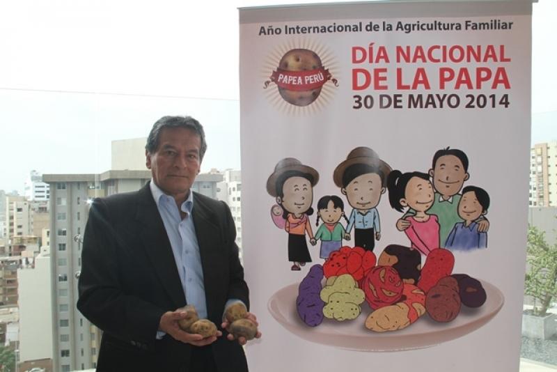 SUPERFICIE SEMBRADA DE PAPA CRECIÓ 14% EN ÚLTIMAS OCHO CAMPAÑAS