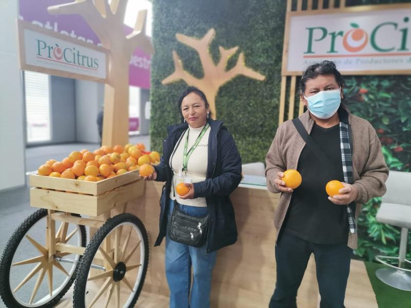 Tacna: crean Consorcio de cítricos con el objetivo de exportar