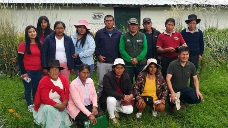 Transfieren tecnologías para mejorar calidad genética del cuy a productores de Huamanga