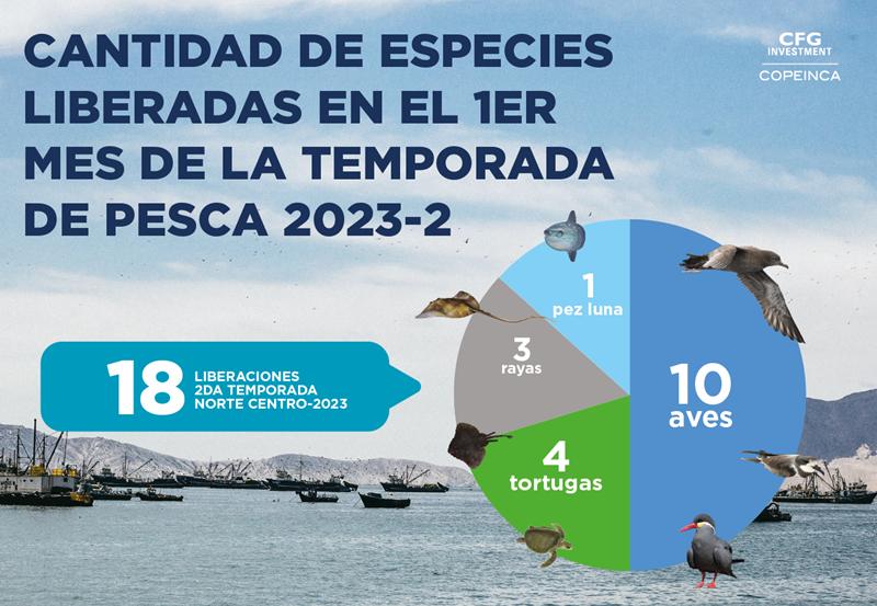 Tripulantes de embarcaciones industriales promueven la conservación marina realizando operaciones de pesca sostenibles