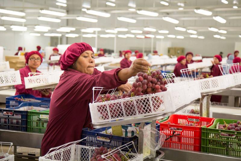 Un repaso a la Ley de Promoción Agraria en cifras
