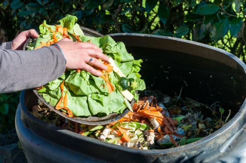 Un tercio de los alimentos producidos en el mundo para consumo humano se desperdicia
