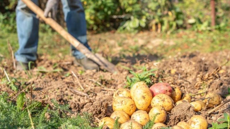 Una Ley (agraria) para generar empleo… y mucho más