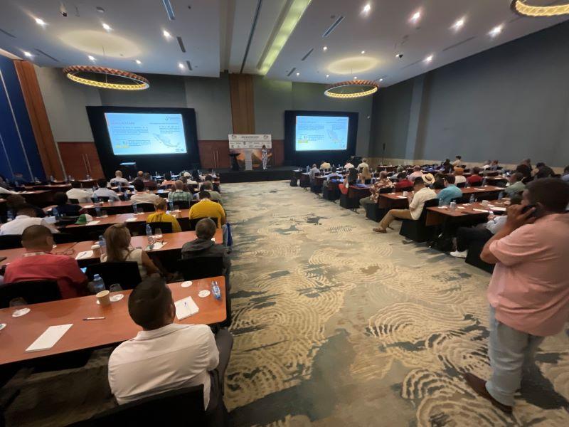 Unidad e Imagen de Marca, principales retos de la industria del mango mexicano