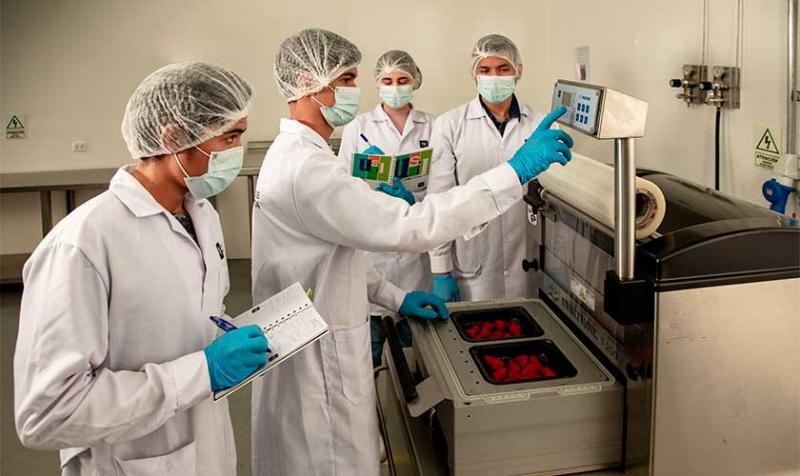 USIL gana concurso de Concytec para producir  hidrolizado proteico de quinua