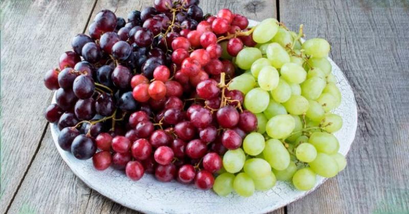 Uva peruana apunta a mantener su liderazgo mundial