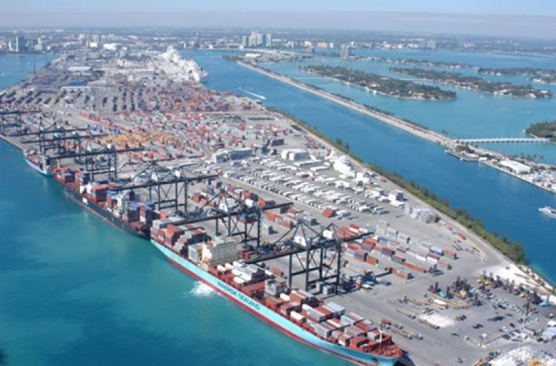 UVAS Y ARÁNDANOS CON TRATAMIENTO DE FRÍO ENTRARÍAN A EE.UU. POR MIAMI