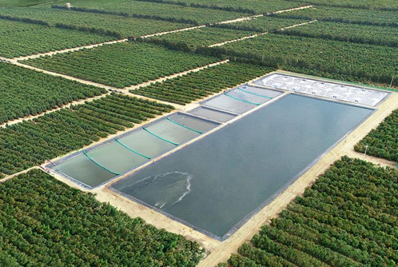 Virú avanza en sostenibilidad con acciones en eficiencia energética, cuidado del ambiente, reúso de descartes y optimización hídrica