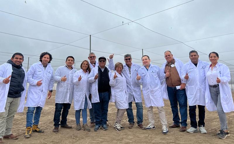 Vivero Los Viñedos y SynergiaBIO Chile se unen para revolucionar la producción de plantas en Perú