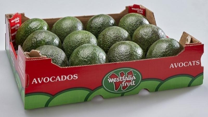 Westfalia Fruit amplía el suministro de paltas a los mercados asiáticos