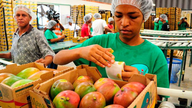 XXIV Congreso Internacional del Mango Peruano promueve la innovación, sostenibilidad y competitividad de la cadena del mango