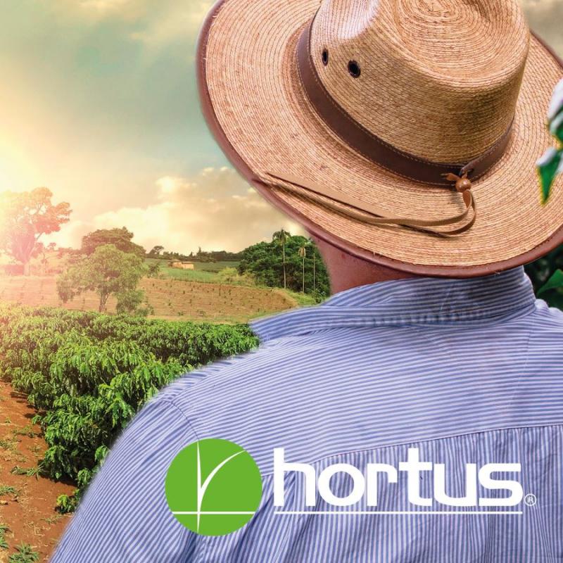 Ya está en circulación boletín “Aurelio Informa” de Hortus