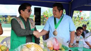 1.050 familias mejorarán 1.400 hectáreas de cacao en Madre de Dios