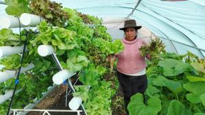 1.400 agricultores de 9 regiones incrementaron su rentabilidad económica en un 40%