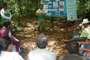 200 familias de Puno refuerzan trabajo para mejorar cultivos de cacao, piña y cítricos
