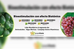 Grupo Iñesta inicia operaciones en Perú