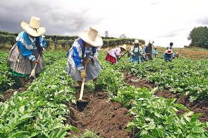 Actualizan ficha para el catastro rural tras 13 años